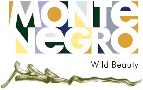 Advertiser Logo Image